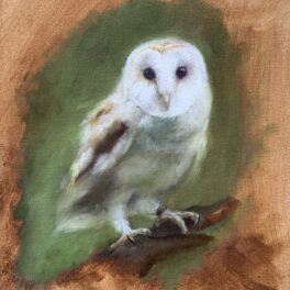 Owl in the Wood by Michael J Doherty