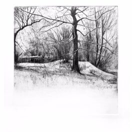 Mugdock Snow Series I by Johann Booyens