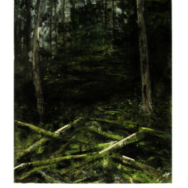 Woods by Johann Booyens