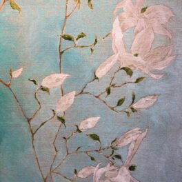 Magnolias Study by Gill Wilson