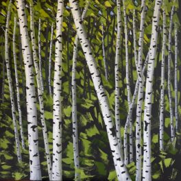 Silver Birch Trees by Rosie Playfair