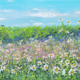 Daisies & Grasses by Sheila Anderson-Hardy